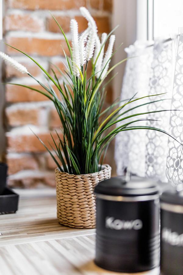 Rzeznicza 24 Apartment Wroclaw Ngoại thất bức ảnh